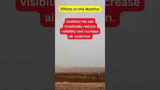 The Facts about Sandstorm in the Middle East Effects on the Weather short [upl. by Federico]