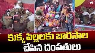 కుక్క పిల్లలకు బారసాల చేసిన దంపతులు  Viarl Video Hittvtelugunews [upl. by Vasiliu]