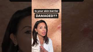 Signs your Skin Barrier is Damaged According to a Dermatologist shorts [upl. by Yerhpmuh]