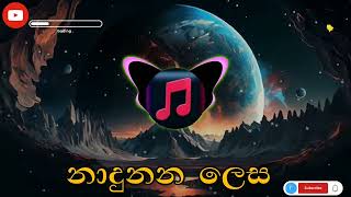 නාදුනන ලෙස nadunana lesa song romesh sugathapala [upl. by Hgieloj]