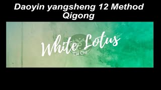 Daoyin Yangsheng 12 Method Qigong  White Lotus Tai Chi [upl. by Edals]