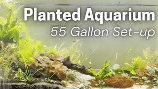 55 Gallon Planted Aquarium SetUp [upl. by Keyte]