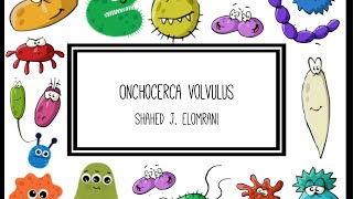 Onchocerca Volvulus [upl. by Nytsrik372]