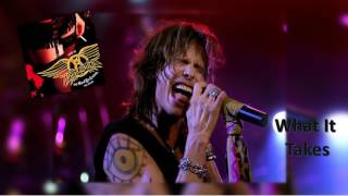 Aerosmith  What It Takes Live 2002 RARE [upl. by Euqinorev]