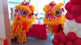 Lion Dance with Choy San Yeh visit Nanjing Street [upl. by Gnilrets]