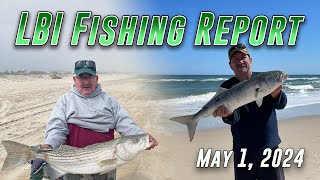 LBI Fishing Report May 1 2024  Surf Bass Bite Remains String [upl. by Fawcett]