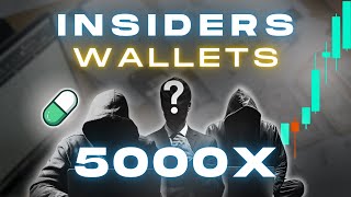 5 Insider Wallets to Start Tracking 200X PROFITS [upl. by Ettelracs536]