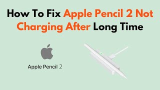 How To Fix Apple Pencil 2 Not Charging After Long Time [upl. by Ahsiner]