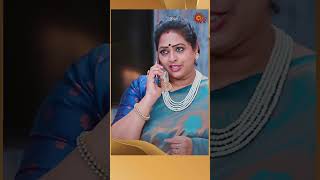 PunnagaiPoove SunTV shorts tamilserial [upl. by Hgielrebma]