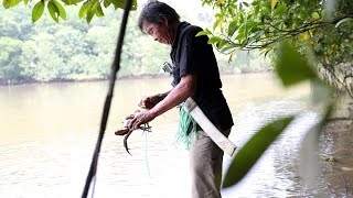 The Pulau Ubin crab catcher [upl. by Reiniar]