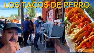 TACOS DE PERRO EN NOGALES SERA SIERTO [upl. by Celie]