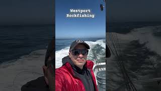 Westport Rockfish Fishing fishing lingcod rockfish westport pnw washington [upl. by Ellednahs]