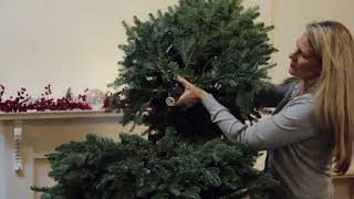 How to set up a Balsam Hill Flip Tree® [upl. by Erlond]