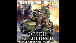 Андрей Белянин – Орден бесогонов Аудиокнига [upl. by Dotti]