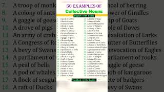 50 Collective Nouns you need to know  spokenenglish vocabulary learnenglish [upl. by Akirat157]