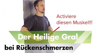 Bauchmuskeltraining  Der Heilige Gral  Hohlkreuz beseitigen Rückenschmerzen wegtrainieren [upl. by Hsizan806]