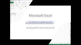 Snel selecteren en opvullen van cellen [upl. by Natasha]
