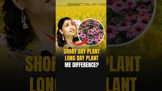 Short Day Plant Vs Long Day Plant Vs Day Neutral Plant riturattewal neet2024 [upl. by Einnob254]