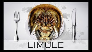 LA LIMULE  UN FOSSILE VIVANT  À Votre Table 3 [upl. by Hgielar]