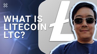 Litecoin 2021 What is Litecoin LTC [upl. by O'Donovan875]