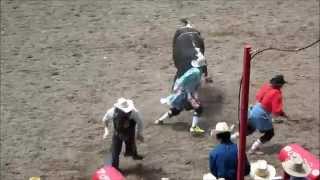 Cheyenne Frontier Days Rodeo highlights  Day 8 [upl. by Ollehcram793]