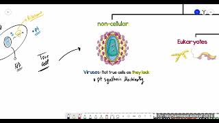 Infection Microbiology Lecture 1 Dr Muhammed Ashraf [upl. by Edia]