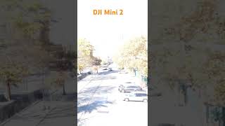 DJI mini 2 Drone Quick flight [upl. by Osgood314]