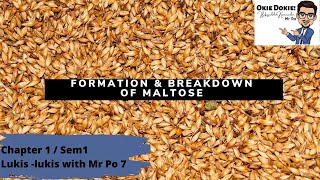 Formation and Breakdown of Maltose Lukis  Lukis with Mr Po EP 7 Chapter 1 Sem 1 [upl. by Pelagia80]