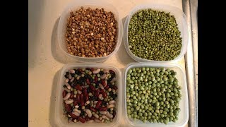 How to Store Soaked Beans [upl. by Alguire]