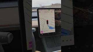 The Most Powerful Feature of Tesla Model 3 Fsd AutoPark [upl. by Thad]