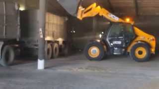 JCB53170 AGRI from LLC Landtech work with grain [upl. by Belac]