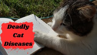 Understanding Deadly Cat Diseases [upl. by Eiramnna]