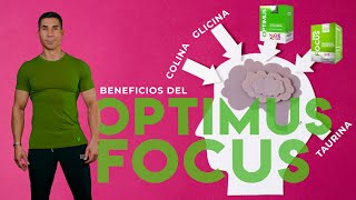 Beneficios del Optimus  Beneficios del Focus  Colina  Glicina  Hache Acvdo [upl. by Ennoirb]