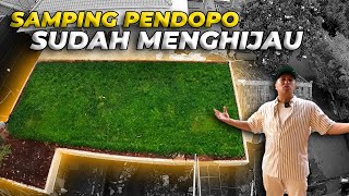 54 PENDOPO  AKHIRNYA INI YANG GW TUNGGUTUNGGU SEJAK LAMA MENANAM RUMPUT DI PENDOPO [upl. by Ehudd]