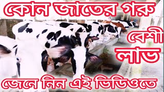 কোন জাতের গরু পালনে বেশী লাভজনক দেখুন এই ভিডিওতে। [upl. by Aneram]