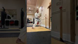 👊🏻🥋Makiwara Training Power amp Timing karate martialarts [upl. by Nimajeb467]