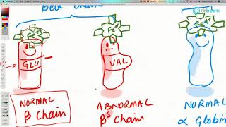 COVID19 Insights Sickle Cell and Thalassemia [upl. by Tamanaha]