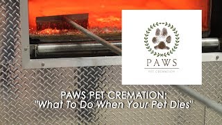 Paws Pet Cremation  What Do You Do When Your Pet Dies [upl. by Schiffman]