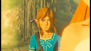 botw any speedrun [upl. by Derby]