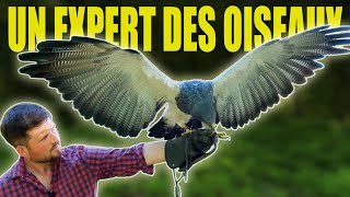 Le quotidien d’un fauconnier expert scientifique [upl. by Osmen357]