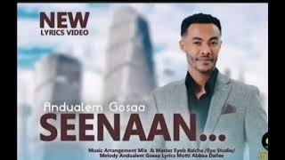 Andualem gosa seenaan new oromoEthiopianhot music 2024 [upl. by Colyer]