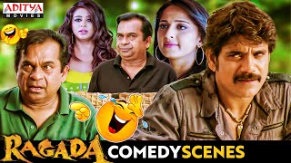 Ragada Ultimate Comedy Scenes  Hindi Dubbed Movie  Nagarjuna Anushka Priyamani  Brahmanandam [upl. by Jessica]