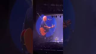 David Gilmour  Wish You Were Here live at Hollywood Bowl October 30 2024 davidgilmour pinkfloyd [upl. by Durtschi]