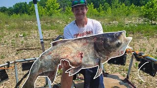 Bowfishing For GIANT Invasive Carp Bighead Asian Carp [upl. by Ihsorih389]