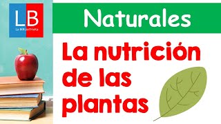 La NUTRICIÓN de las PLANTAS para niños ✔👩‍🏫 PRIMARIA [upl. by Edmee]