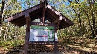 rt 180 blairsville ga brasstown bald october 20th 2024 fall colors are popping out [upl. by Masha947]