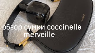 BAGS REVIEW COCCINELLE MERVEILLE [upl. by Ahsienroc930]