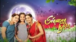 PILLAI NILA SUNTV SERIAL TITLE SONG [upl. by Saraiya]