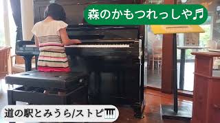 道の駅とみうら🎹 ♪６歳の森のかもつれっしゃ♬ [upl. by Zolnay]