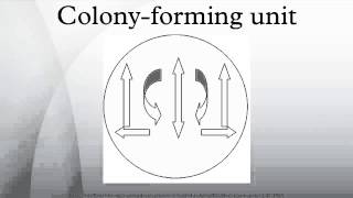 Colonyforming unit [upl. by Patt320]